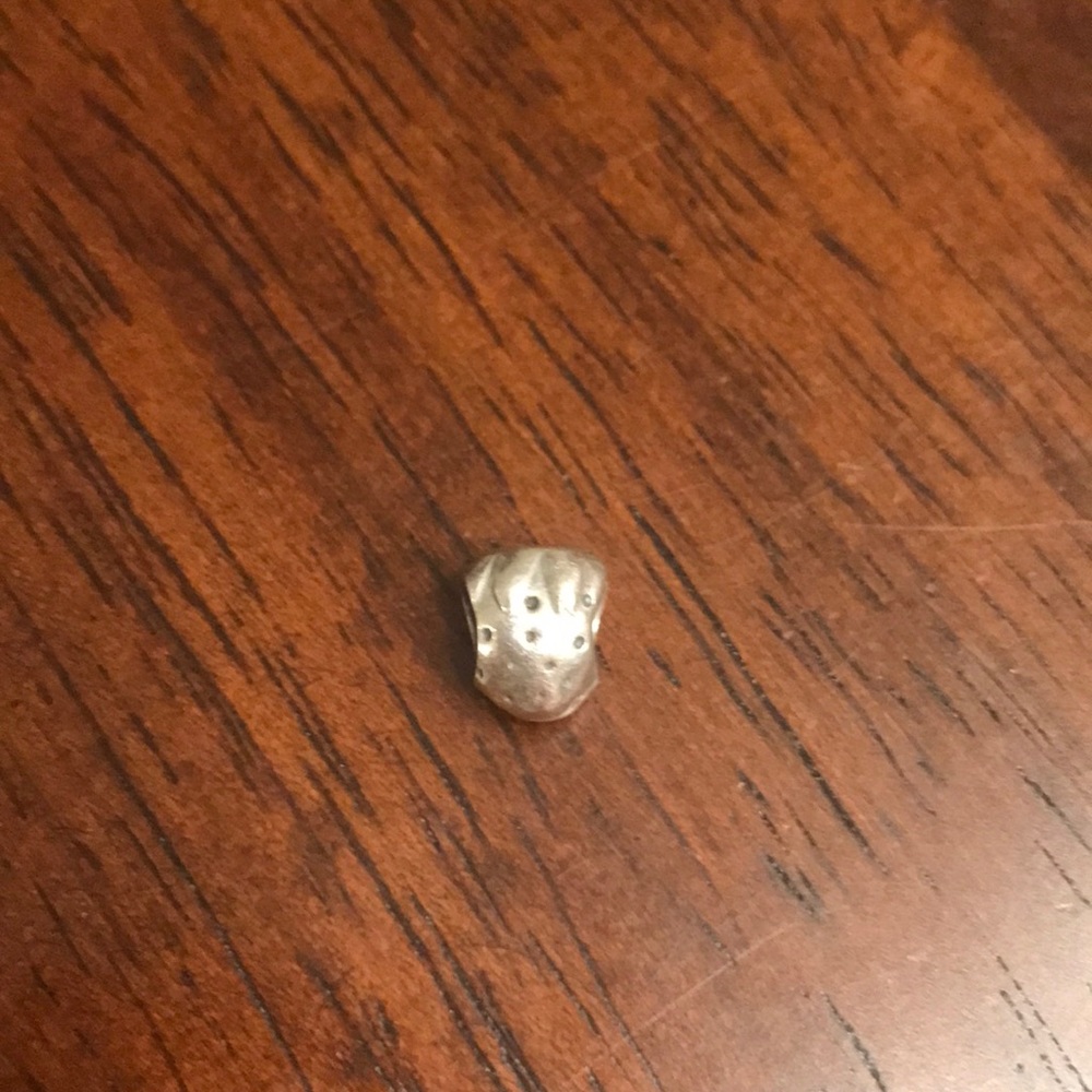 Pandora bead
